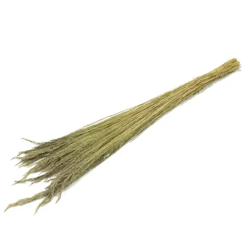 Trocken Erba Grass natur L70cm