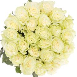 Rose creme Mondial Import 50cm