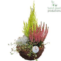 Garten.Arr SHMC001 Ampel Herbst T26 H045