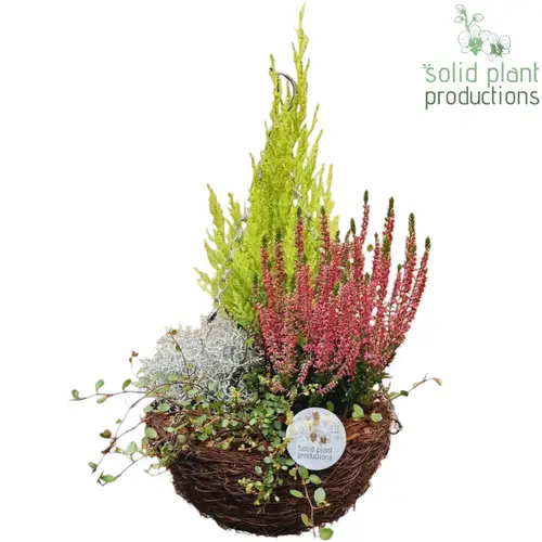 Garten.Arr SHMC001 Ampel Herbst T26 H045
