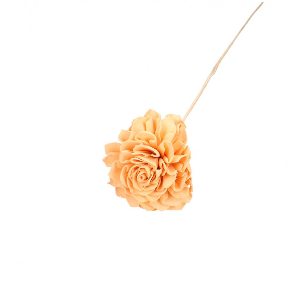 Trocken Dahlia auf Stab orange L50cm D10cm