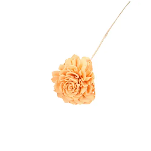 Trocken Dahlia auf Stab orange L50cm D10cm