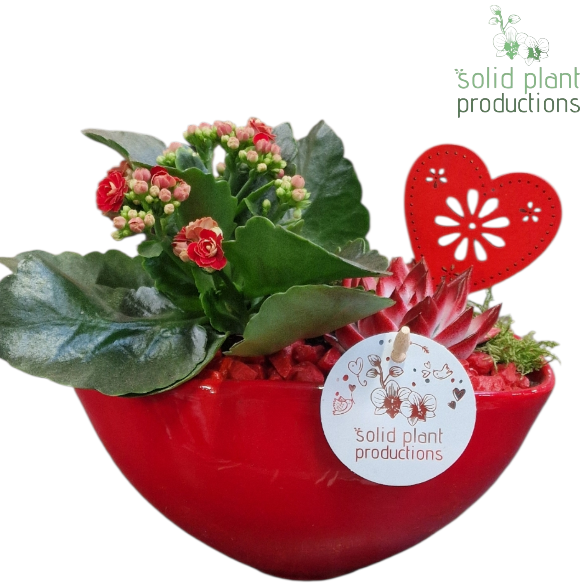 Kal.Arr KE006RED Muttertag T19 H022