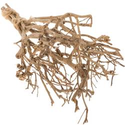 Zweige Bundel Tee 65cm