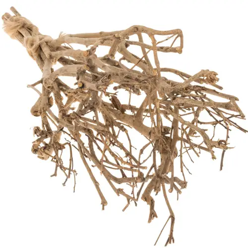 Zweige Bundel Tee 65cm