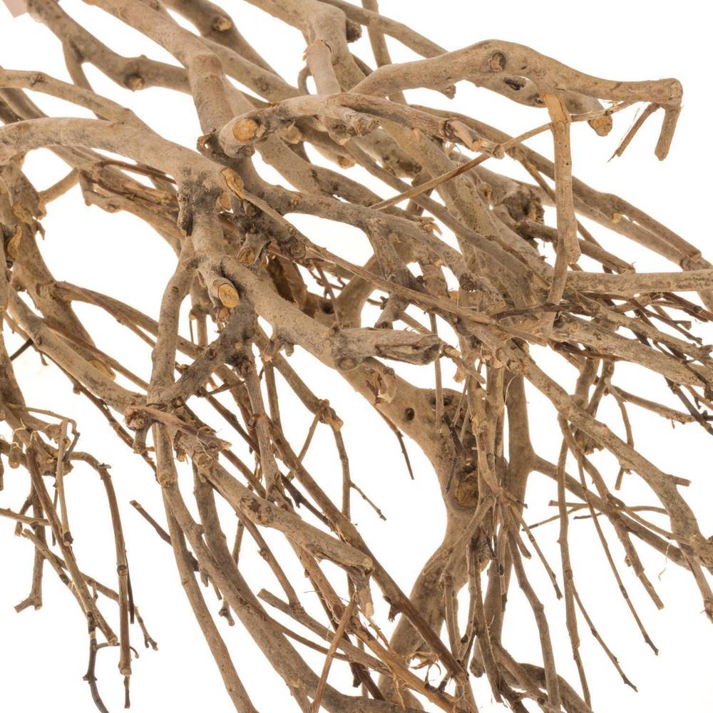 Zweige Bundel Tee 65cm