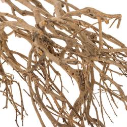 Zweige Bundel Tee 65cm