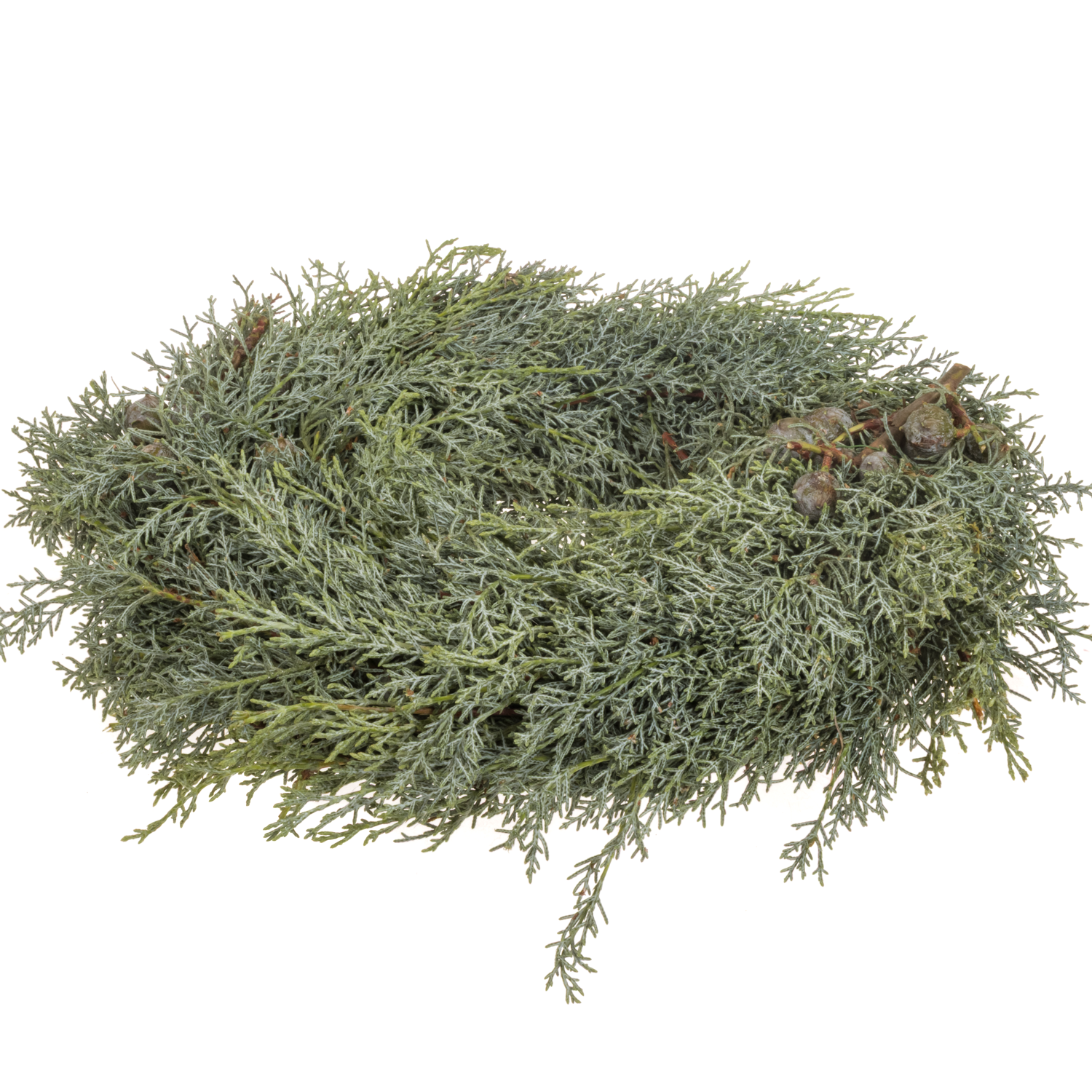 Kranz Arizonika D30cm Aussen 33cm