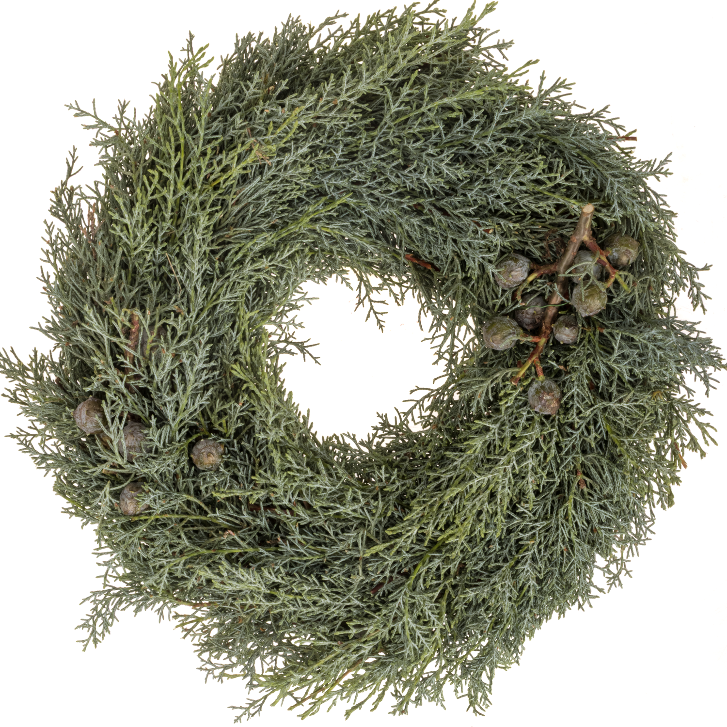 Kranz Arizonika D30cm Aussen 33cm