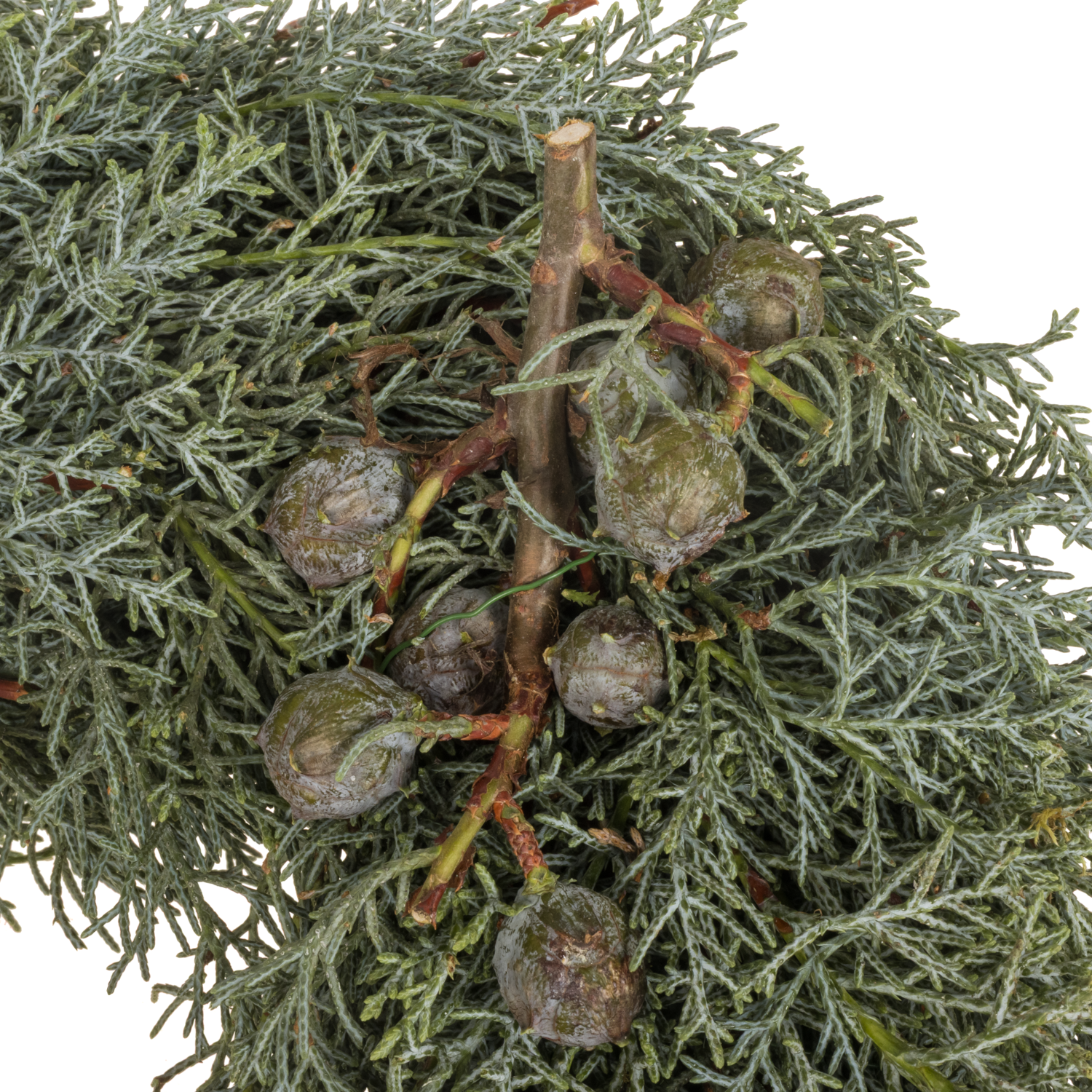 Kranz Arizonika D30cm Aussen 33cm