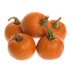 Zierk.orange Bol Mit Bol 14cm