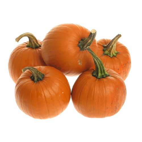 Zierk.orange Bol Mit Bol 14cm