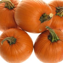 Zierk.orange Bol Mit Bol 14cm