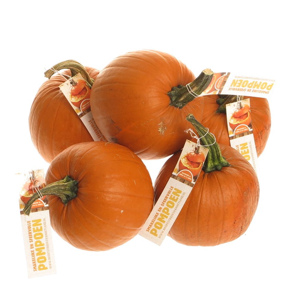 Zierk.orange Bol Mit Bol 14cm