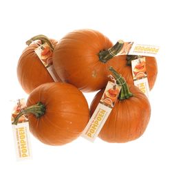 Zierk.orange Bol Mit Bol 14cm