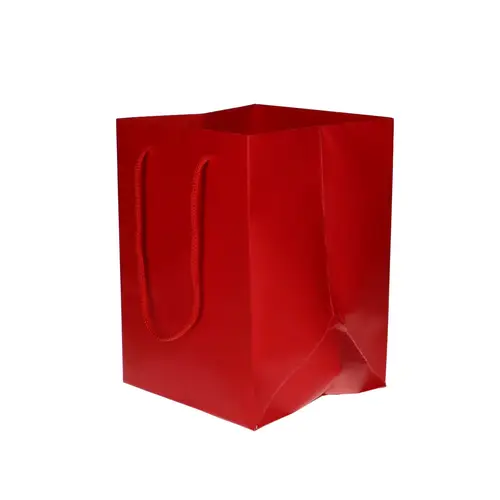 Tasche Olympic rot 25x18x18cm