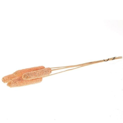 Trocken Maize lachsrosa L60cm x10