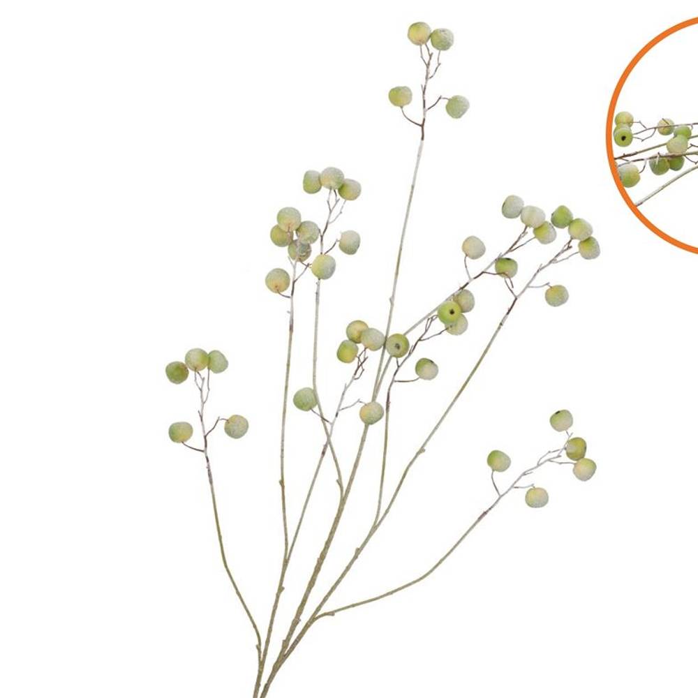 Seidenapfel Schnee grün L135cm