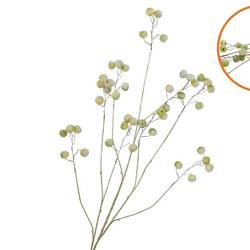 Seidenapfel Schnee grün L135cm