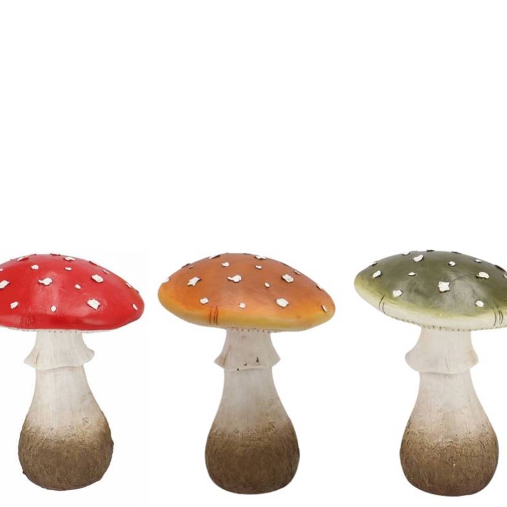 Pilz Wonderland mix 14x14x19cm