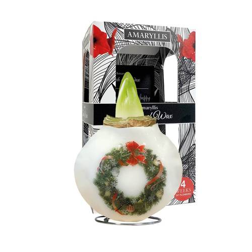 Amar.Bol Wachs Kränze im Giftbox rote Bl. 30cm H022