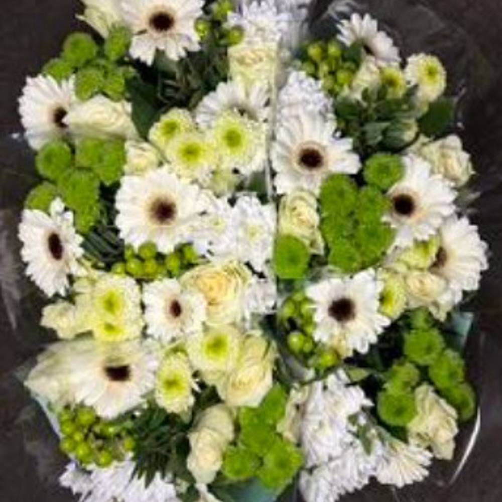 Strauß Raven weiss 50cm 12 Stiele