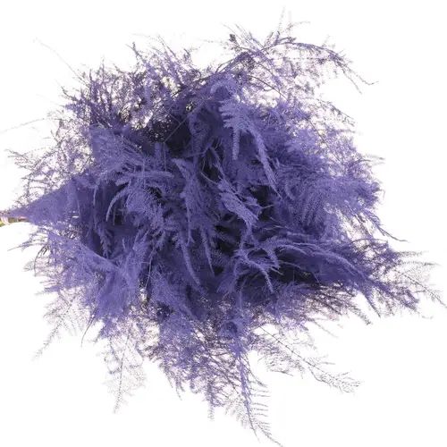 Plumosus milka gefärbt 45cm (x25)