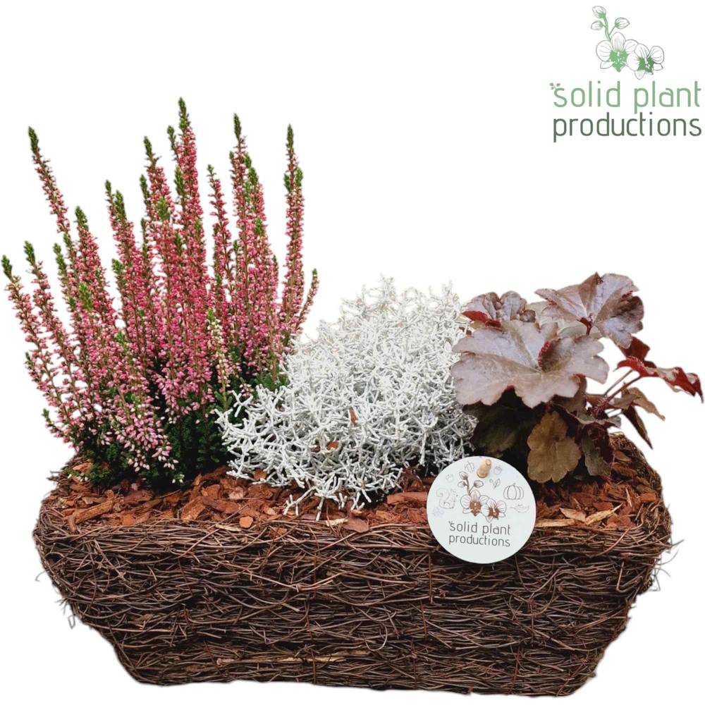 Garten.Arr SRM001 Medium Herbst T26 H035