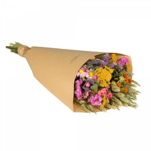 Trockenblumen Strauss Field mix L60cm