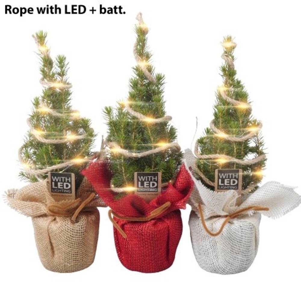 Picea Glauca Conica Jute +LED PTK25333 T09 H030