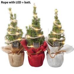 Picea Glauca Conica Jute +LED PTK25333 T09 H030