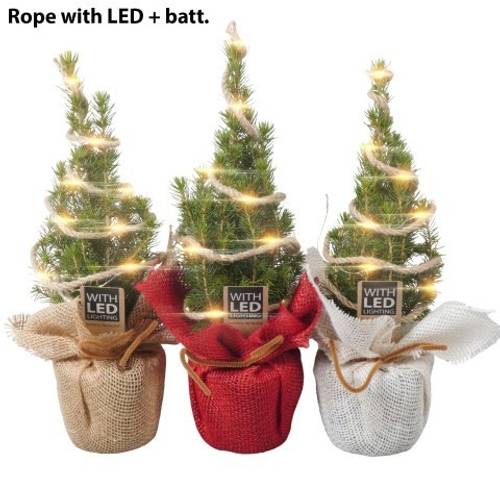 Picea Glauca Conica Jute +LED PTK25333 T09 H030