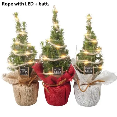 Picea Glauca Conica Jute +LED PTK25333 T09 H030