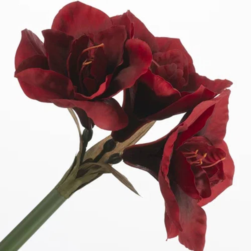 Seiden Amaryllis rot L61cm