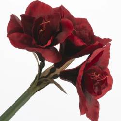 Seiden Amaryllis rot L61cm