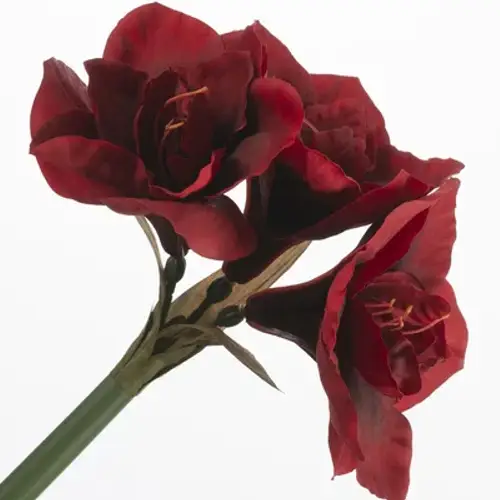 Seiden Amaryllis rot L61cm