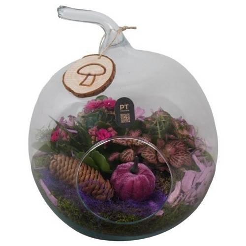 Kal.Arr PTHG8303 Herbst T19 H025