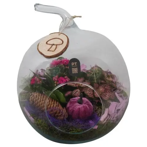 Kal.Arr PTHG8303 Herbst T19 H025