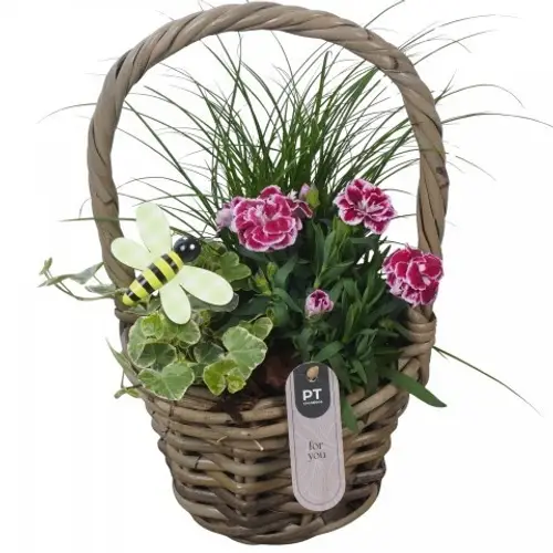 Garten.Arr PTPP7029 T14 H031