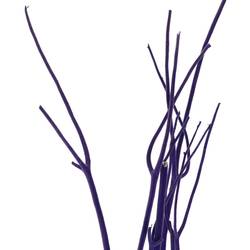 Mitsumata lila Flock L115cm x3