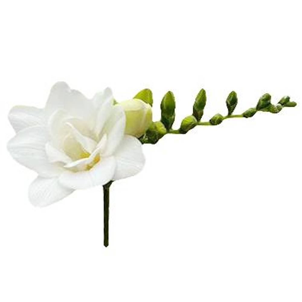 Freesie weiss gefüllt Paris 24 Gramm