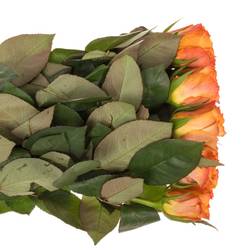 Rose orange Mariyo (FLora Ola) 50cm