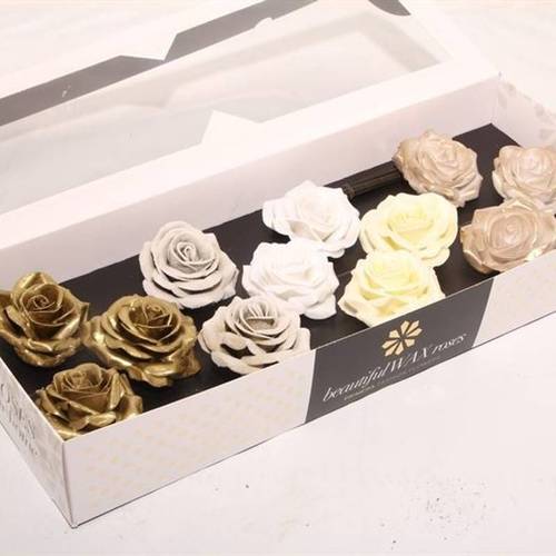 Seiden Wachs Rose mix Chique gold D10cm (9010)