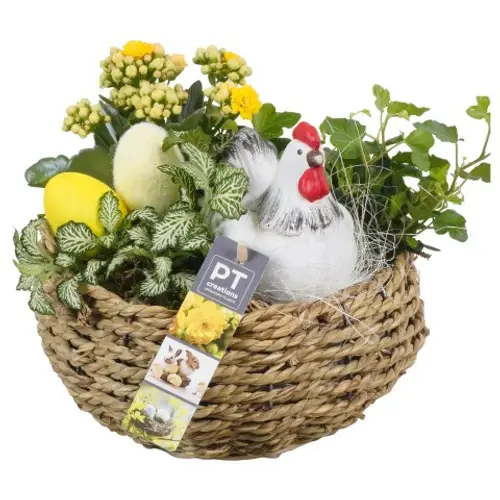 Ostern Arr PTPB3777 T22 H023