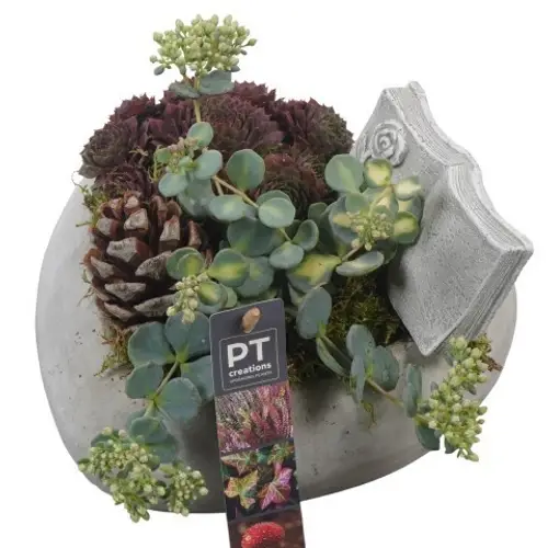 Garten.Arr PTAH8606 Allerheiligen T20 H016