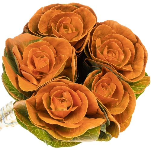 Zierkohl orange gefärbt 60cm