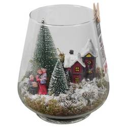 Plagiothec.Arr PTCV7613 Weihnachten T18 H023