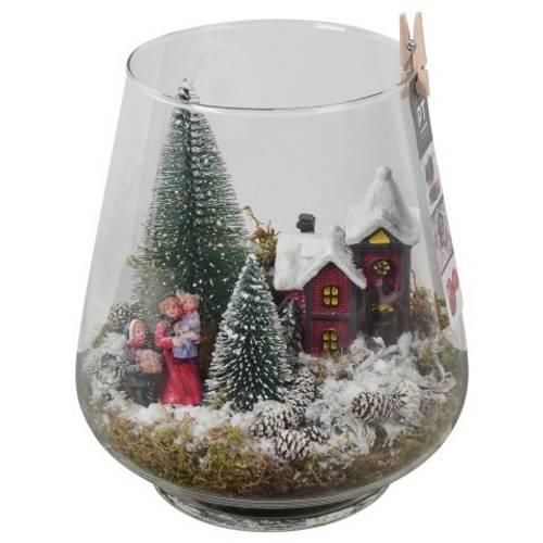 Plagiothec.Arr PTCV7613 Weihnachten T18 H023