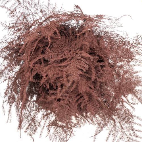 Plumosos braun gefärbt 45cm