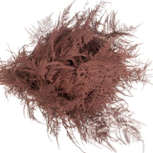 Plumosos braun gefärbt 45cm